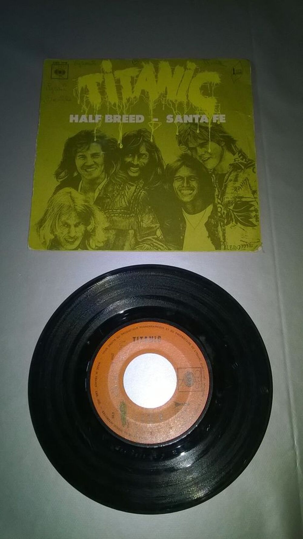 Vinyle 45 T Titanic 
Half Breed 
Bon etat
Half Breed
San CD et vinyles