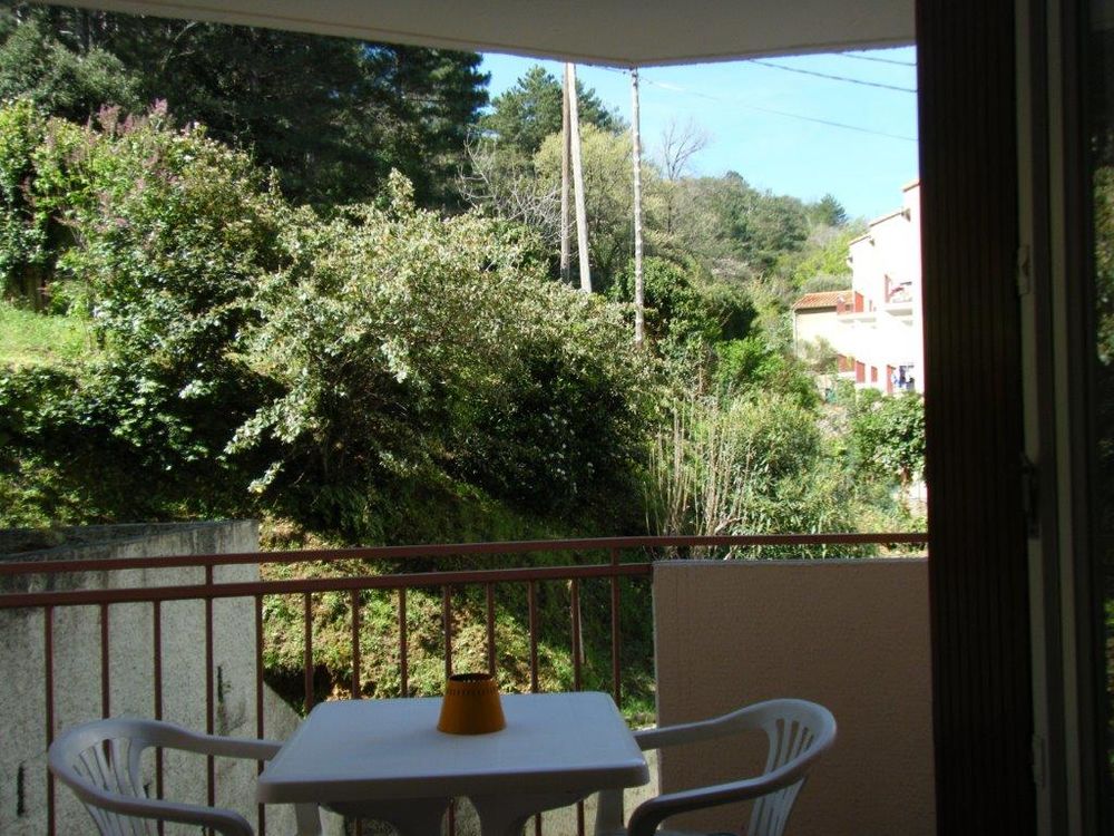   Joli studio, 250 m des Thermes, grand balcon, garage Languedoc-Roussillon, Amlie-les-Bains-Palalda (66110)