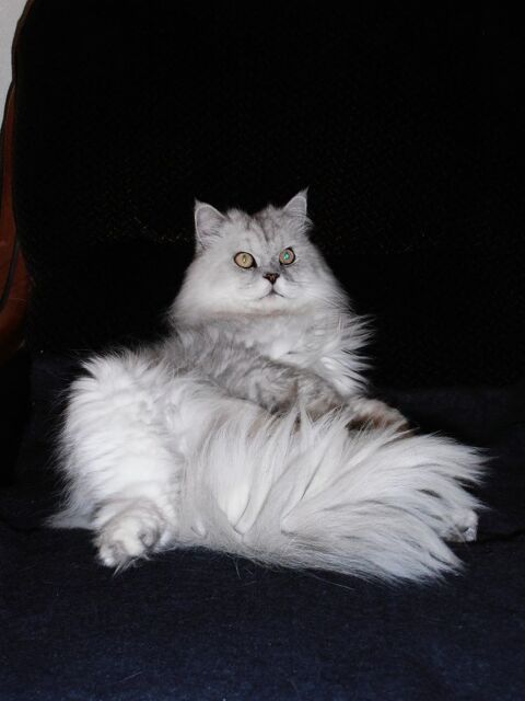 Bienvenue chez nous 0 66000 Perpignan