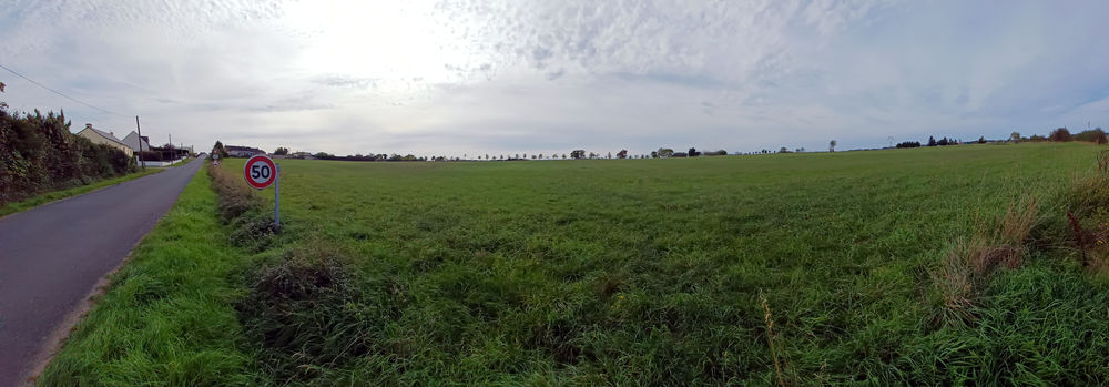 Vente Terrain GRAND TERRAIN DE LOISIR 8000 m² DE NATURE PROCHE ANCENIS Mésanger