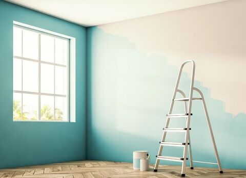 TRAVAUX PEINTURE & PROJETS RENOVATION 97234 Fort-de-france