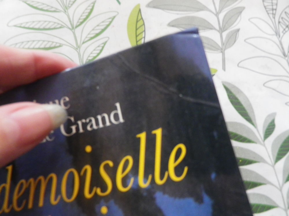 LA DEMOISELLE DES GLACIERS de Monique BROSSARD LE GRAND Livres et BD