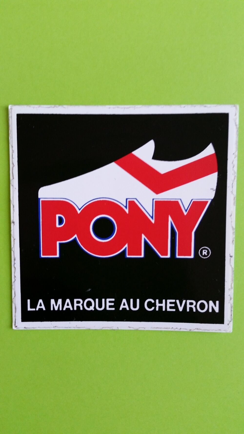PONY 