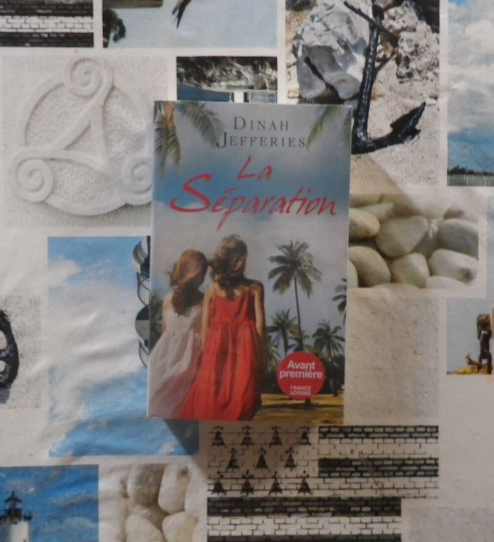LA SEPARATION de Dinah JEFFERIES Ed. France Loisirs NEUF Livres et BD