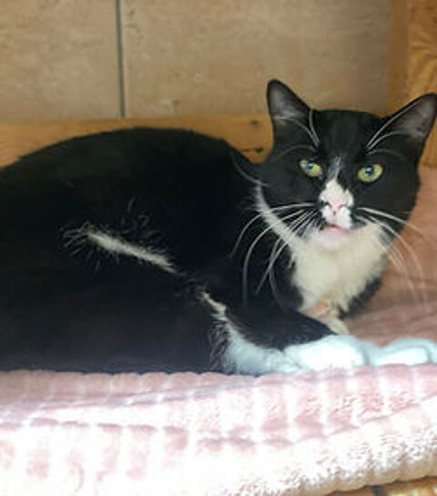 Wima 200 26700 Pierrelatte