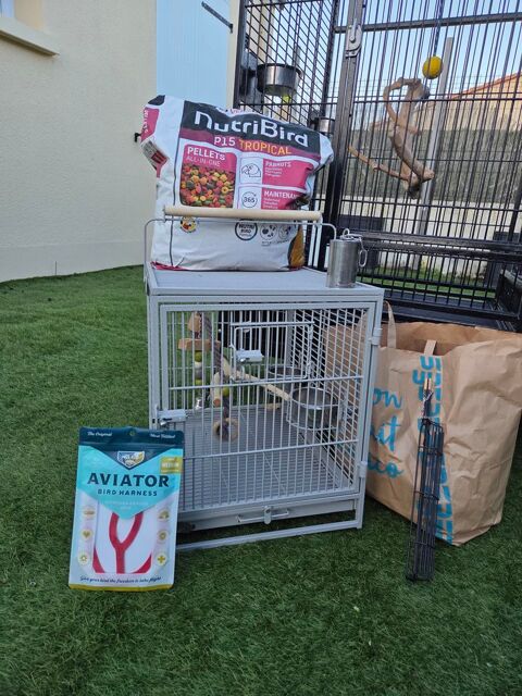 Lot pour perroquet 600 79100 Saint-jacques-de-thouars