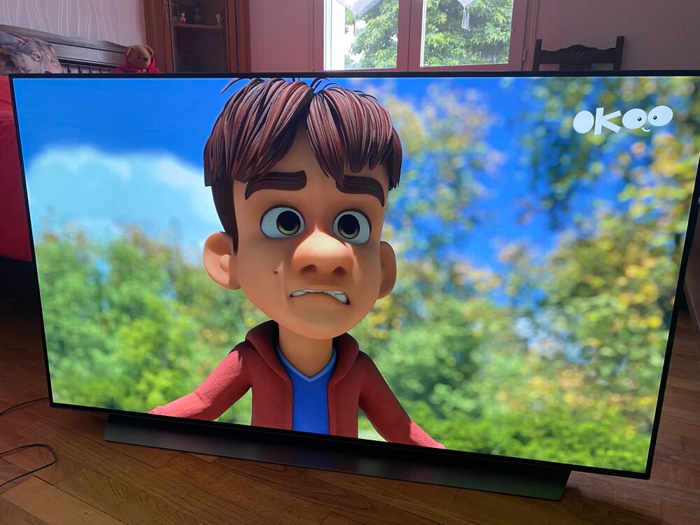 ecran plat Lg Oled 55 pouces Photos/Video/TV