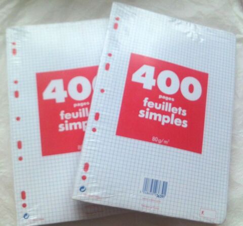 Sous blister, 400 feuilles simples A4, papier surfin 80 g 4 Villeurbanne (69)