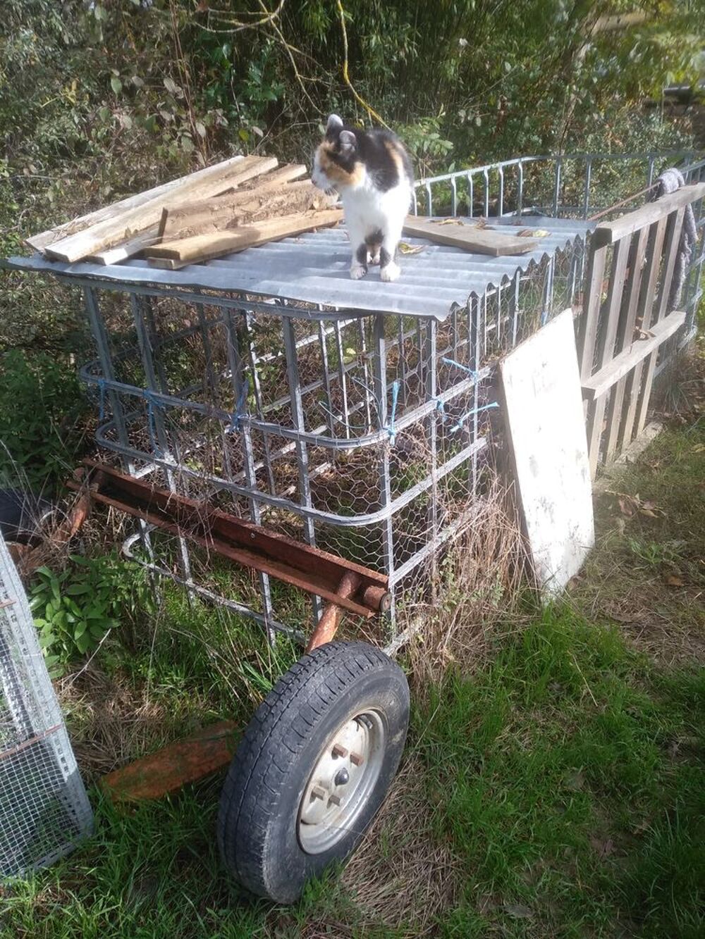 cage 1 m3 Bricolage