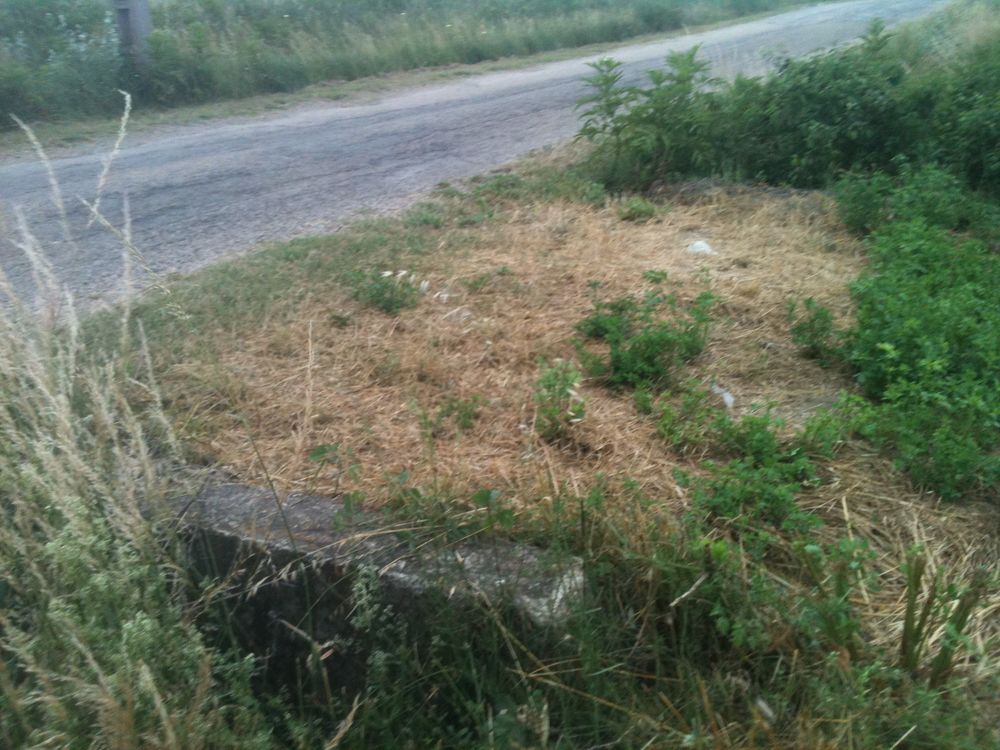 Location Terrain TERRAIN AGRICOLE POUR CULTURE OU JARDIN PAR LOT Aimargues