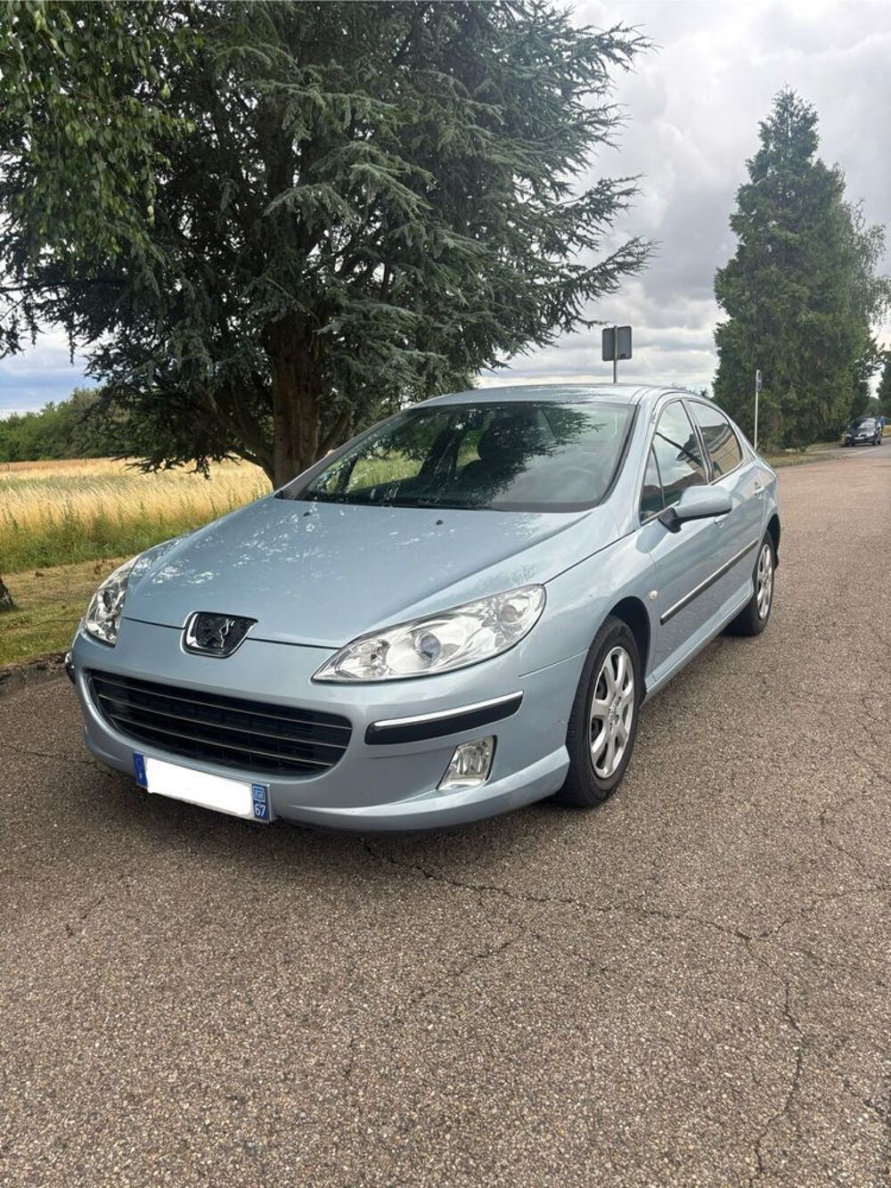 407 2.0e 16v Ex&eacute;cutive Pack 2006 occasion 57000 Metz