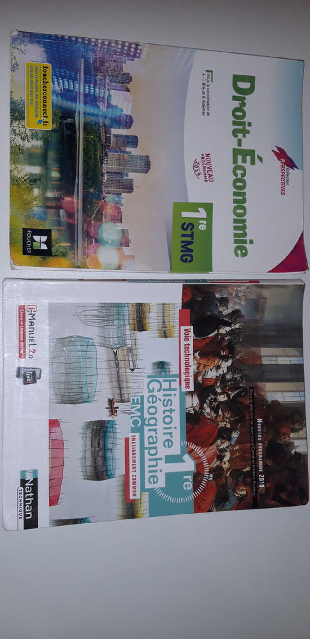 livres de 1STMG du lyc&eacute;e Joseph Pernock. Livres et BD