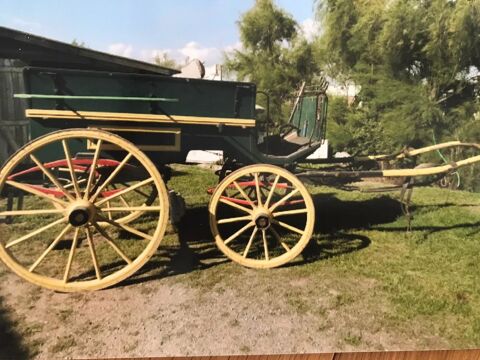 Calche variole charrette cheval 10 places 0 Saint-Gervais (85)