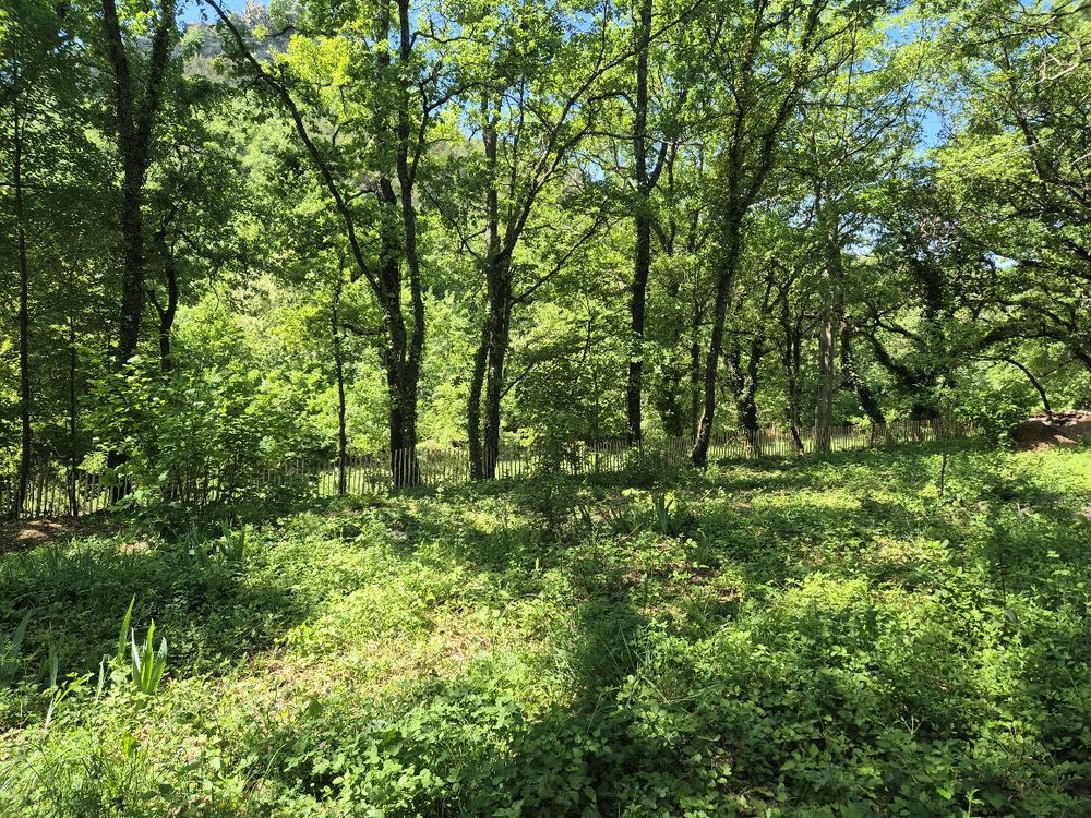 Vente Terrain ENTRECHAUX (84)  Terrain d'exception 1 159 m². 175000  euros Entrechaux