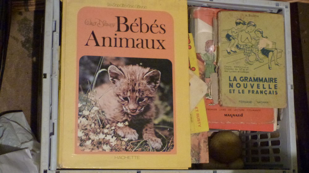 Lot de livres en bon &eacute;tat , pour bouquinistes, brocantes... Livres et BD