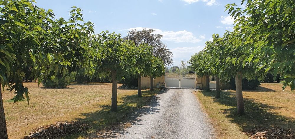 � vendre  Propri�t�/ch�teau Peyssies (31390)