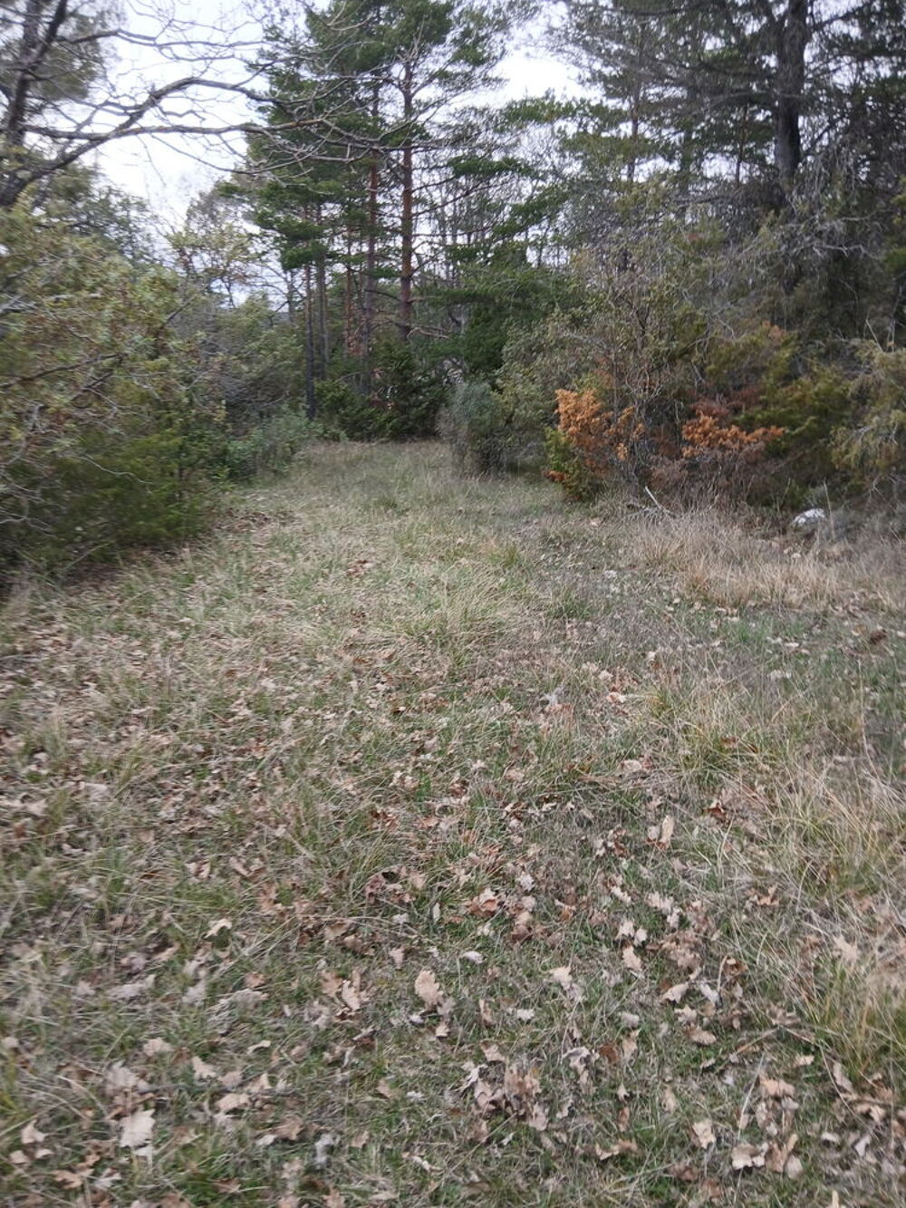 Vente Terrain Terrain non constructible 18 480 m² à Saint-Vallier-de-Thier Saint-vallier-de-thiey