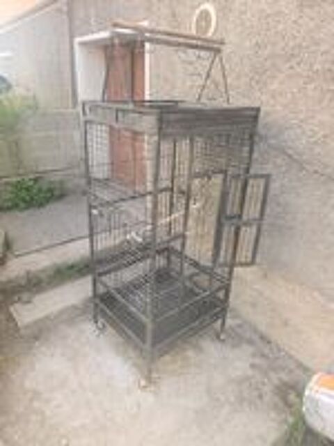   Cage perroquet 
