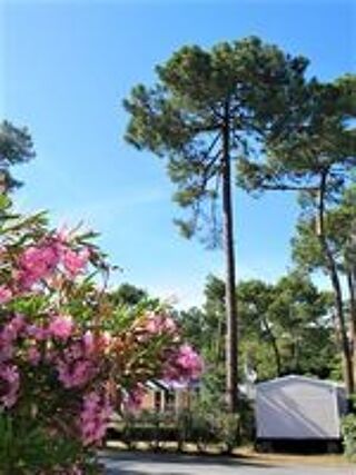  2018 occasion 17390 Ronce Les Bains