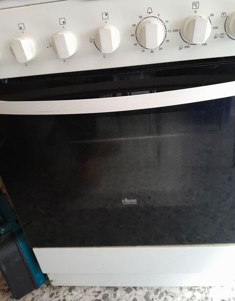 Four mixte FAURE blanc 85 Puylaurens (81)