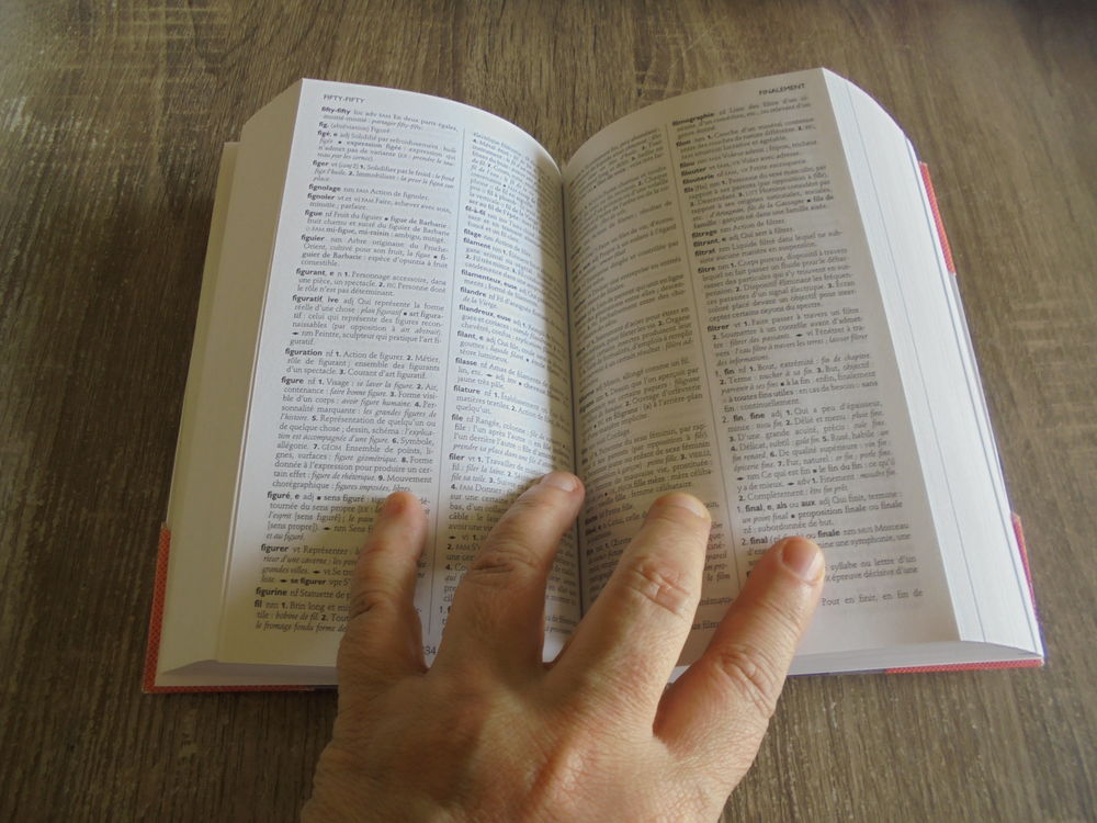 Dictionnaire poche (111) Livres et BD
