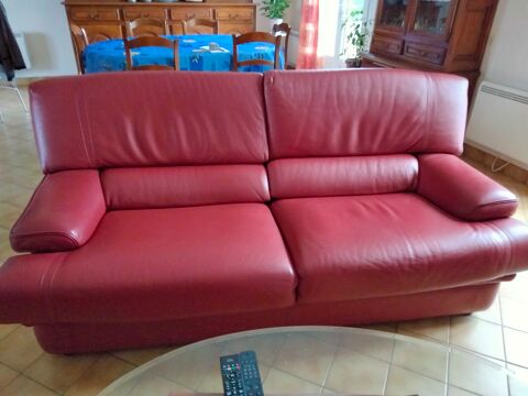 salon 350 Orches (86)
