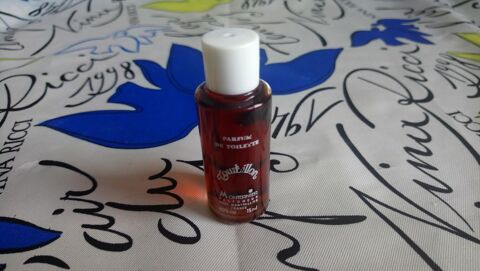 MINIATURE DE PARFUM 4 Trouy (18)
