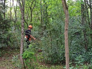  Terrain � louer 558 m�