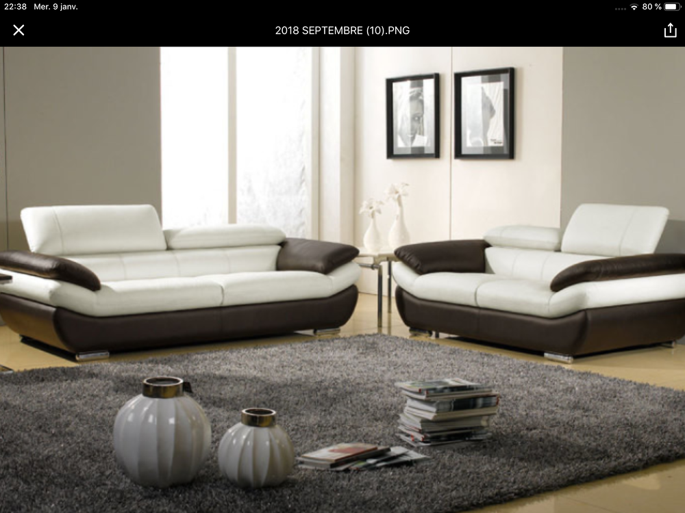 canape de luxe Meubles
