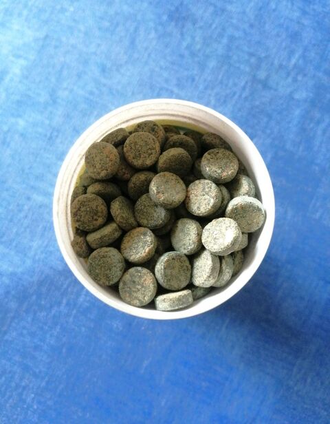 Pastilles végétales bio 100% pour poissons 6 92800 Puteaux