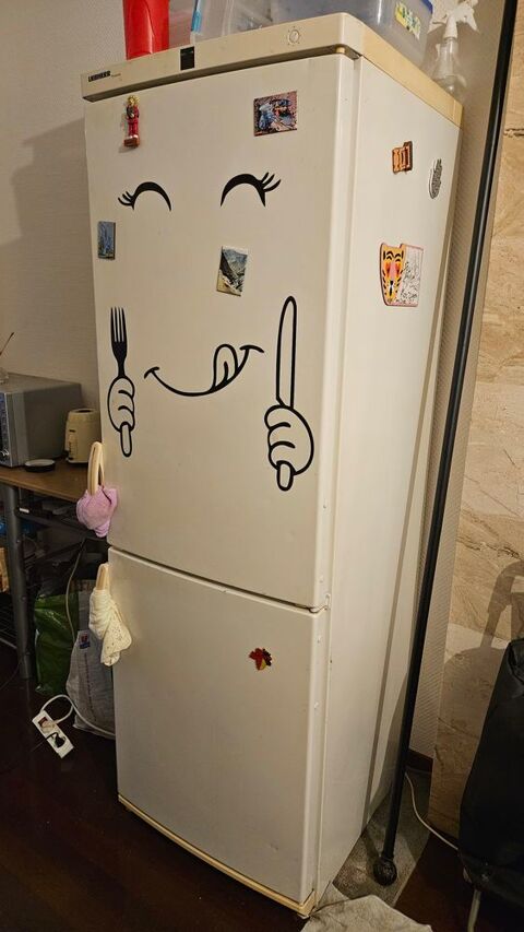 Frigo Liebherr en bon tat 100 Strasbourg (67)