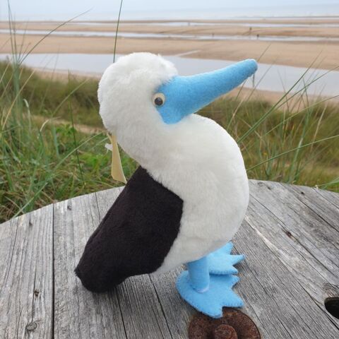 Peluche Oiseau des Galapagos Fait main San Christobal Neuf 29 Antony (92)