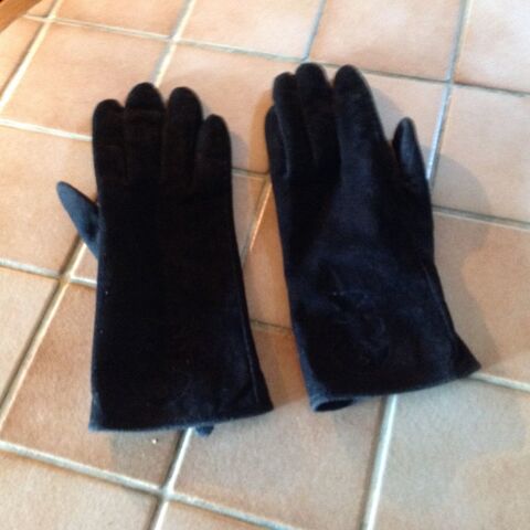 gands - diplodocus 10 Gaillac (81)