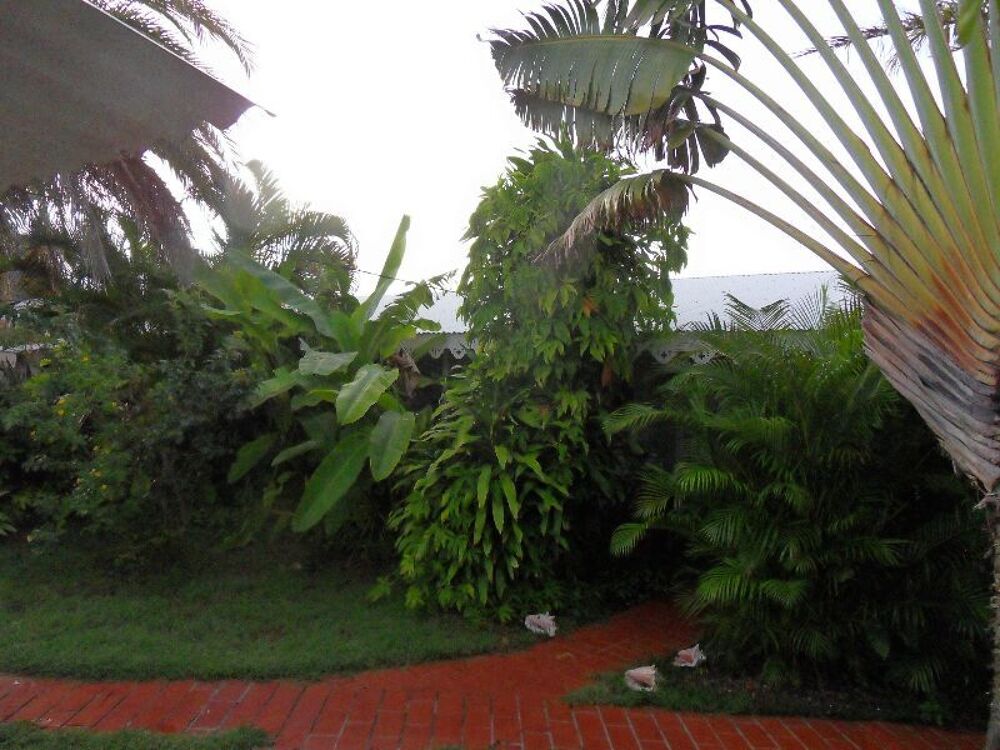Location Appartement F1. 2 terrasses , jardin tropical Saint-françois