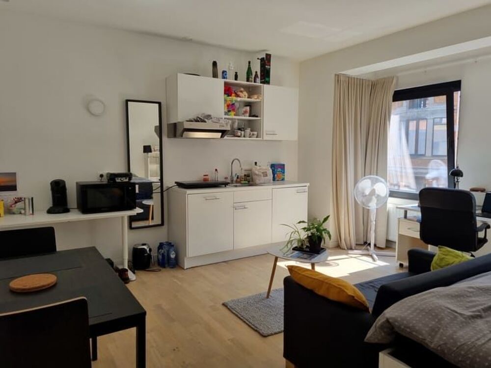 Location Appartement Studio une chambre de 24 m²récemment rénovée sur Strasbourg Strasbourg