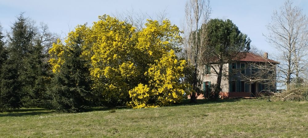 Vente Maison Jolie propriété de 8 hectares d'un seul tenant ! Mormès