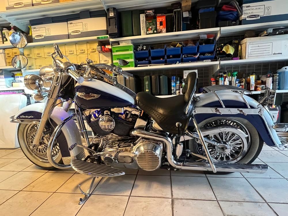 HARLEY-DAVIDSON 2006 occasion 54690 Lay-Saint-Christophe