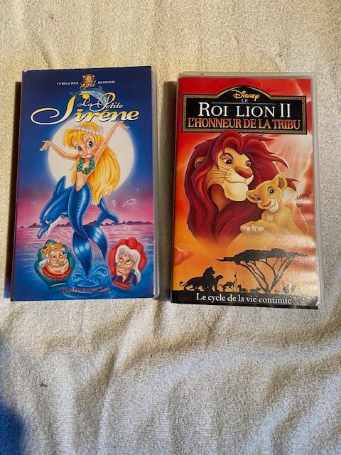 cassettes VHS dessins anim�s 5 Saint-Florent-le-Vieil (49)