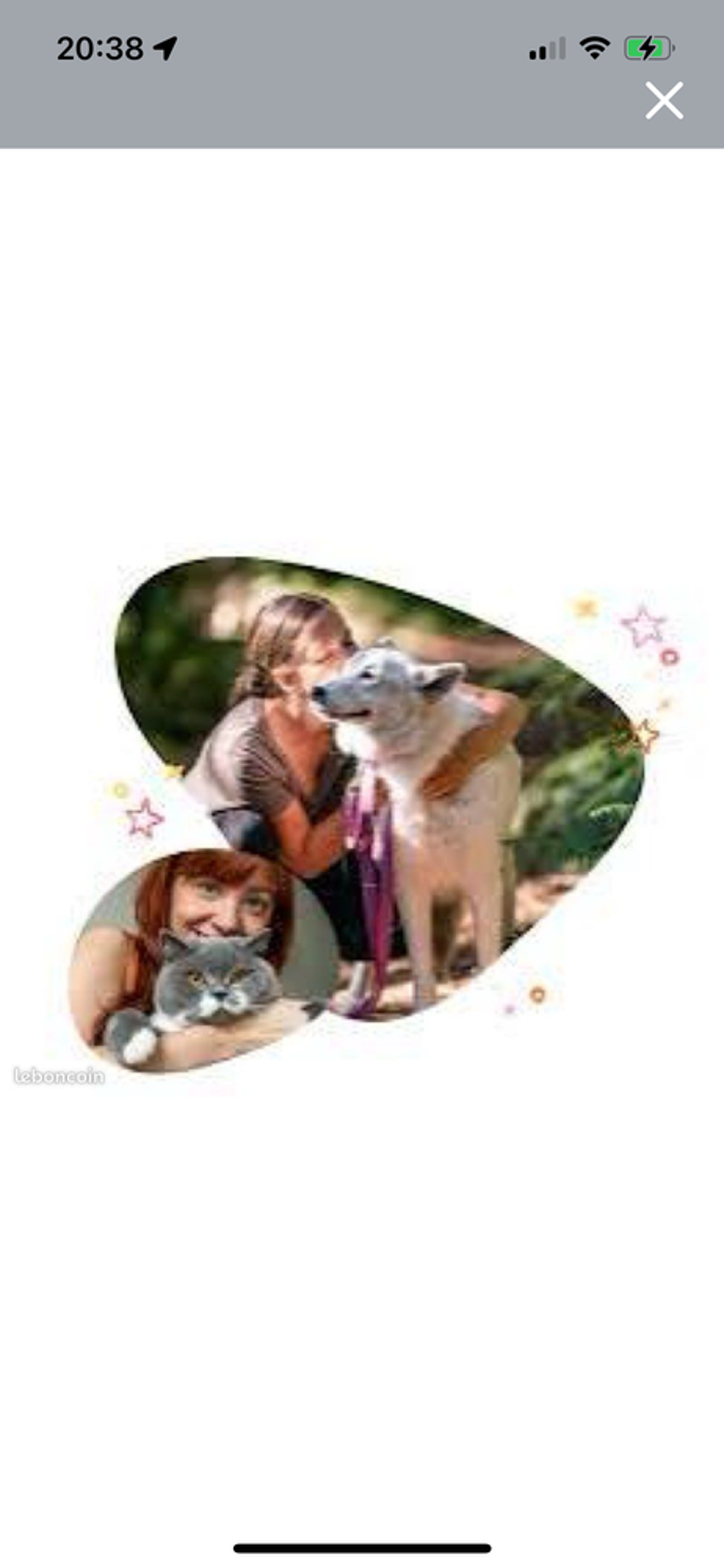   Garde d'animaux 