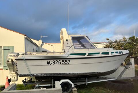 Bateaux &agrave; moteur P&ecirc;che-promenade 1992 occasion Beauvoir-sur-Mer 85230