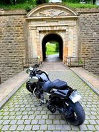 YAMAHA 2009 occasion 54400 Longwy