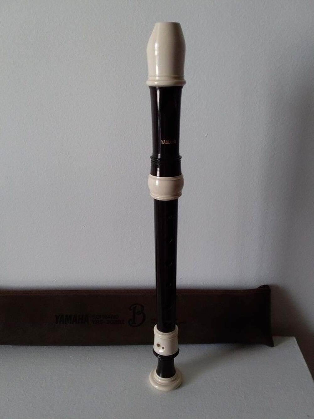 FL&Ucirc;TE &Agrave; BEC Instruments de musique