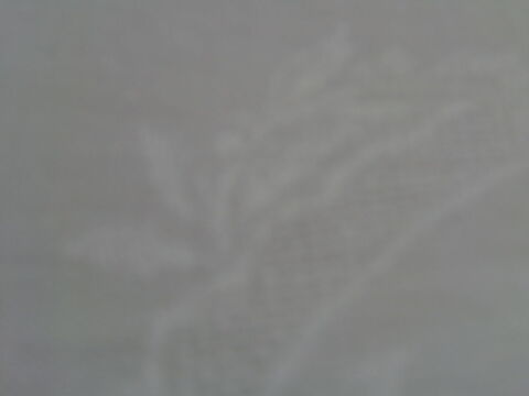 NAPPE DAMASSEE ANCIENNE ET 12 SERVIETTES 50 Verrires (10)