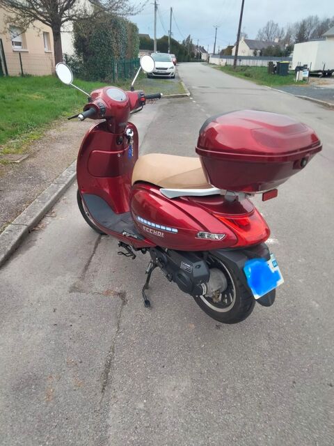 Scooter DIVERS 2022 occasion Sainte-Anne-sur-Brivet 44160