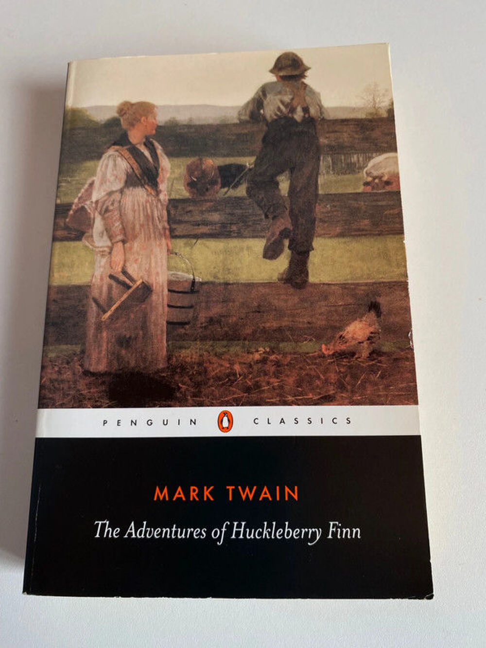 Livre The Adventures of Huckleberry Finn Livres et BD