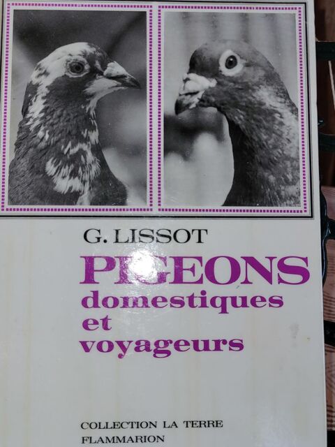 Livre Pigeons 10 Haillicourt (62)