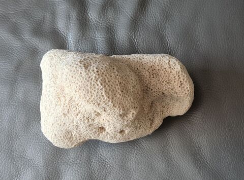 Tr�s belle pierre Talmont-Saint-Hilaire (85)