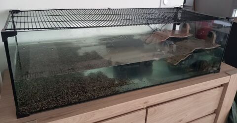 Vivarium et tortues d'eau 200 29000 Quimper
