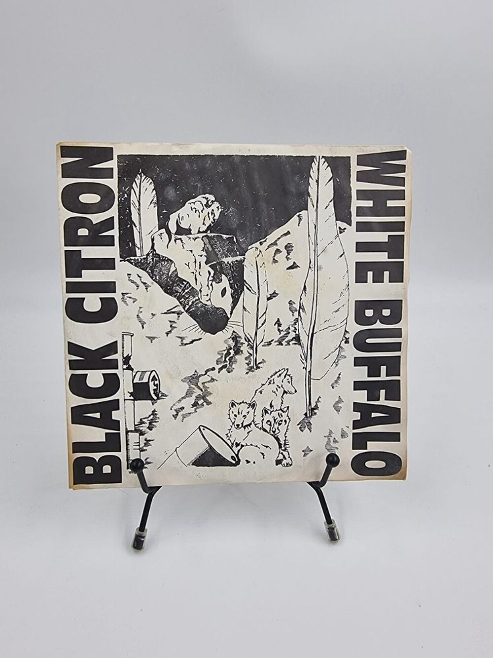 Vinyle 45 tours Black Citron White Buffalo avec fourreau CD et vinyles