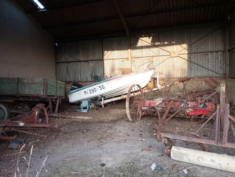 Bateaux &agrave; moteur P&ecirc;che-promenade 2010 occasion Saint-Andr&eacute;-de-l'&Eacute;pine 50680